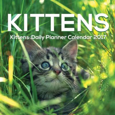 Book cover for Kittens Daily Planner Calendar 2017