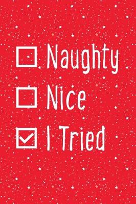 Book cover for Naughty Nice I Tried