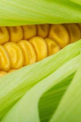 Book cover for Corn Cob Notebook