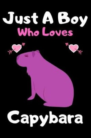 Cover of Just a boy who loves capybara