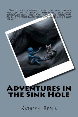 Book cover for Adventures in the Sink Hole