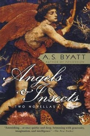 Cover of Angels & Insects: Two Novellas