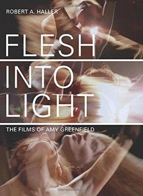 Book cover for Flesh Into Light