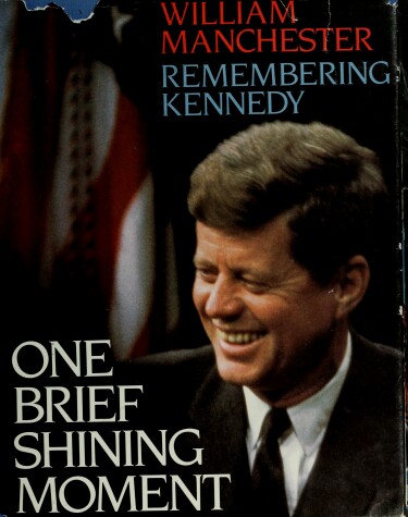 Book cover for One Brief Shining Moment