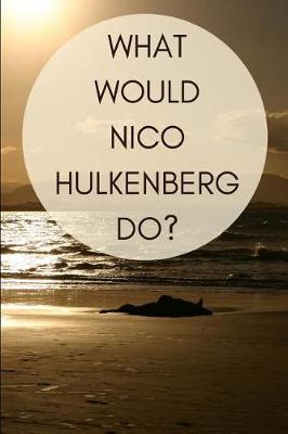 Book cover for What Would Nico Hulkenberg Do?