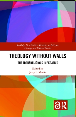 Book cover for Theology Without Walls