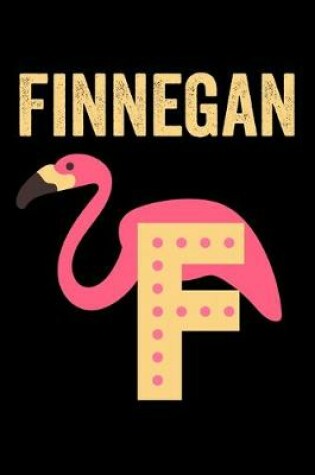 Cover of Finnegan