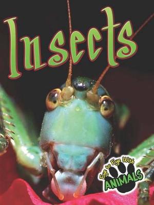 Cover of Insects