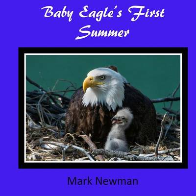 Book cover for Baby Eagle's First Summer