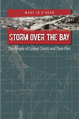 Book cover for Storm over the Bay