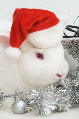 Book cover for A Cute White Bunny Dressed Up for Christmas