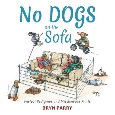 Book cover for No Dogs on the Sofa