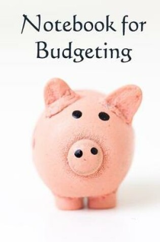 Cover of Notebook for Budgeting