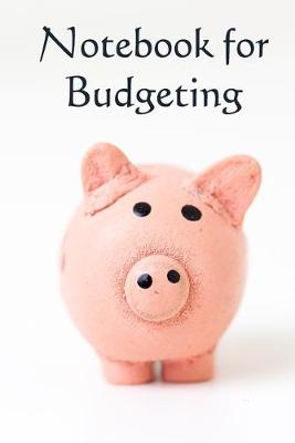 Book cover for Notebook for Budgeting