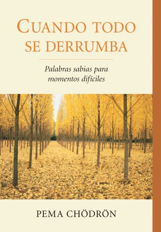 Book cover for Cuando todo se derrumba (When Things Fall Apart)