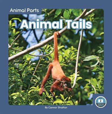 Book cover for Animal Tails