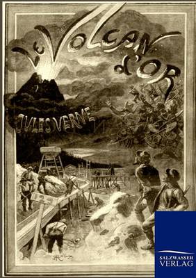 Book cover for Der Goldvulkan