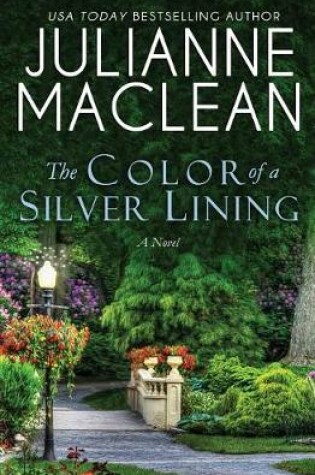 Cover of The Color of a Silver Lining