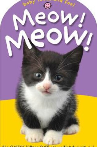 Cover of Baby Touch & Feel Meow Meow