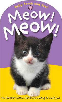 Book cover for Baby Touch & Feel Meow Meow