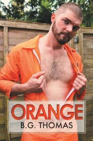 Cover of Orange