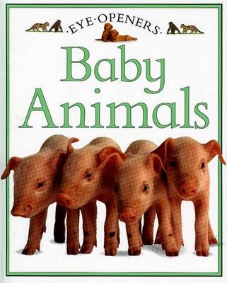 Cover of Baby Animals