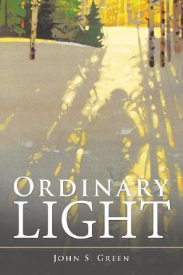 Book cover for Ordinary Light