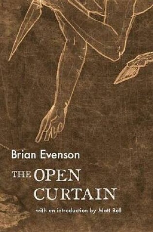 Cover of The Open Curtain