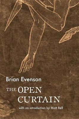 Book cover for The Open Curtain