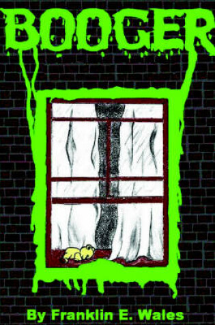 Cover of BOOGER a Horror Novel