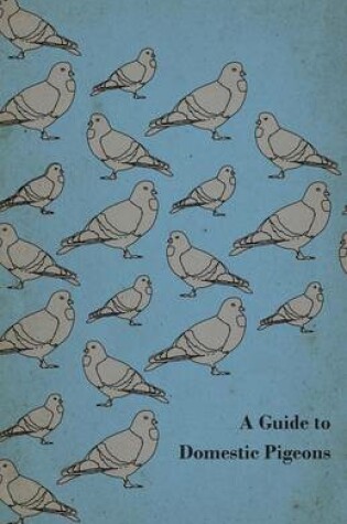 Cover of A Guide to Domestic Pigeons - With Chapters on Doves, Training and Their Habits