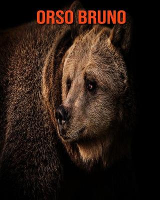 Book cover for Orso bruno