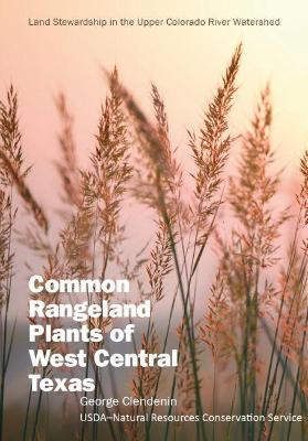 Book cover for Common Rangeland Plants of West Central Texas