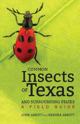 Book cover for Common Insects of Texas and Surrounding States