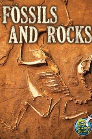 Cover of Fossils and Rocks