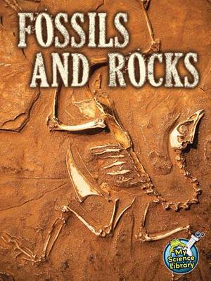 Book cover for Fossils and Rocks