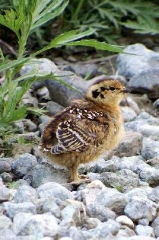 Cover of Precious Baby Partridge Chick Bird Journal