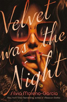 Book cover for Velvet was the Night
