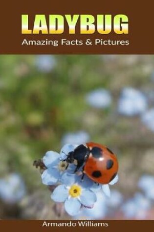 Cover of Ladybug