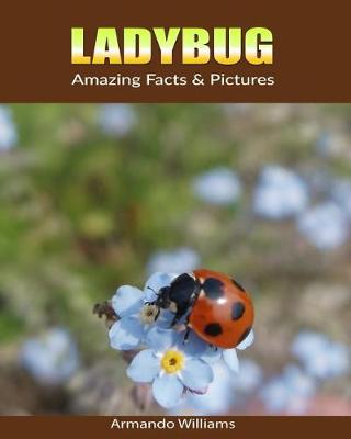 Book cover for Ladybug