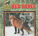 Book cover for Red Foxes