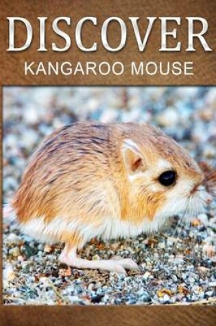 Cover of Kangaroo Mouse - Discover