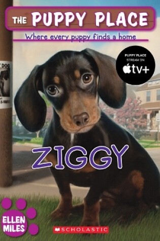 Cover of Ziggy