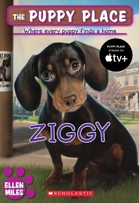 Cover of Ziggy