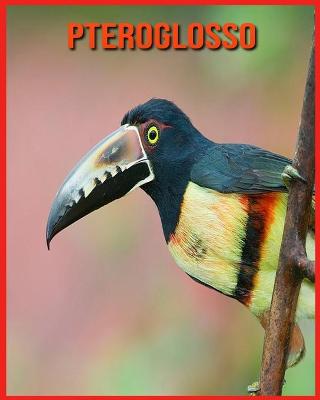 Book cover for Pteroglosso