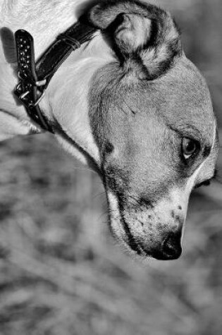 Cover of Jack Russell Terrier Side Profile Black and White Journal