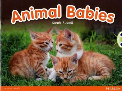 Book cover for Bug Club Red B (KS1) Animal Babies 6-pack