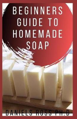 Book cover for Beginners Guide to Homemade Soap