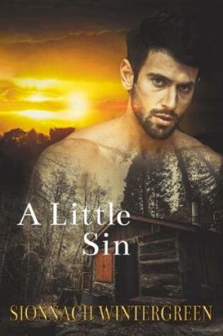 Cover of A Little Sin