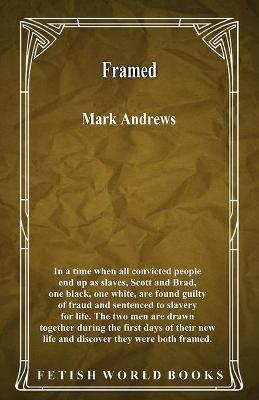 Book cover for Framed